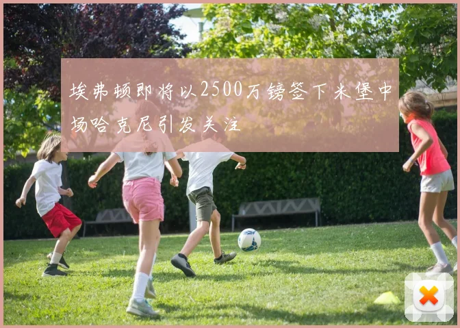 埃弗顿即将以2500万镑签下米堡中场哈克尼引发关注