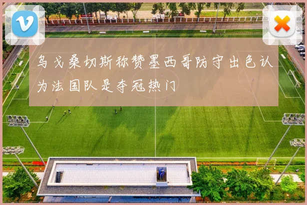 乌戈桑切斯称赞墨西哥防守出色认为法国队是夺冠热门