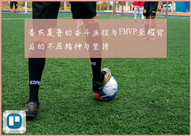 香农夏普的奋斗历程与FMVP荣耀背后的不屈精神与坚持
