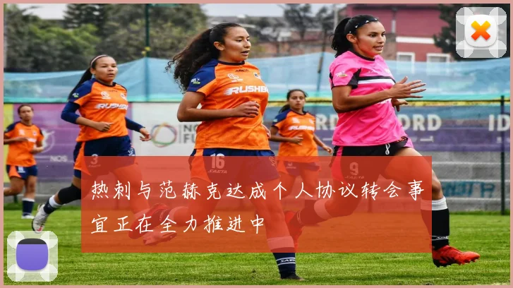 热刺与范赫克达成个人协议转会事宜正在全力推进中